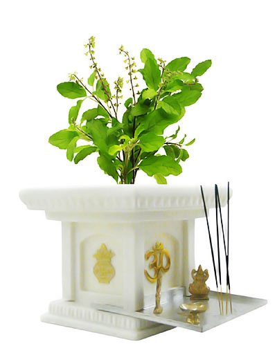 Maa Tulsi  Chalisha